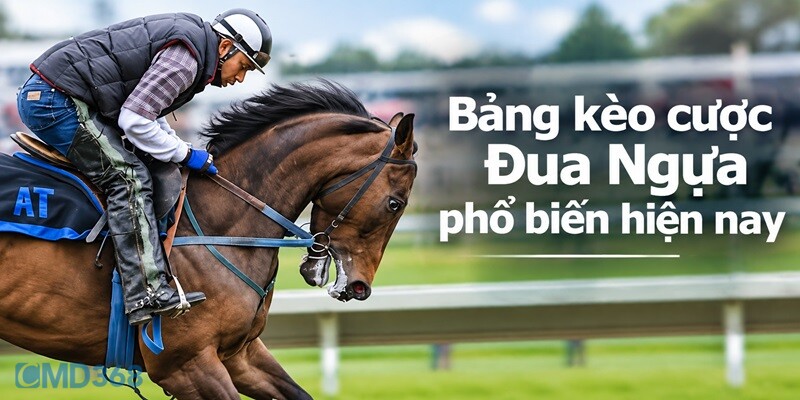 Bảng kèo cược Đua Ngựa phổ biến hiện nay Bảng kèo cược Đua Ngựa phổ biến hiện nay