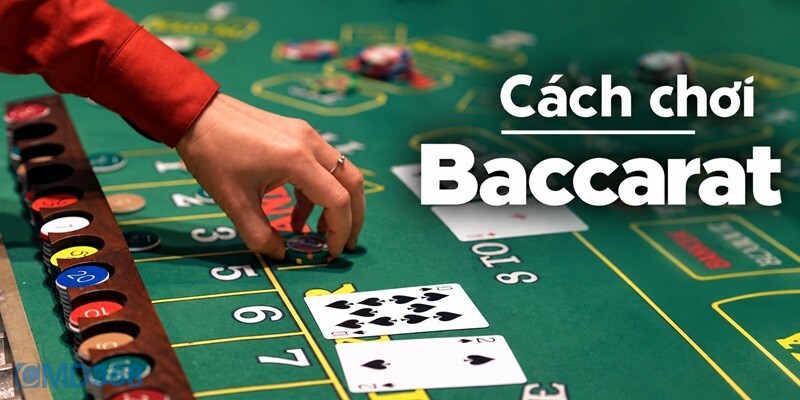 Chơi Baccarat chi tiết từ A – Z cho Newbie CMD368 Chơi Baccarat chi tiết từ A - Z cho Newbie CMD368