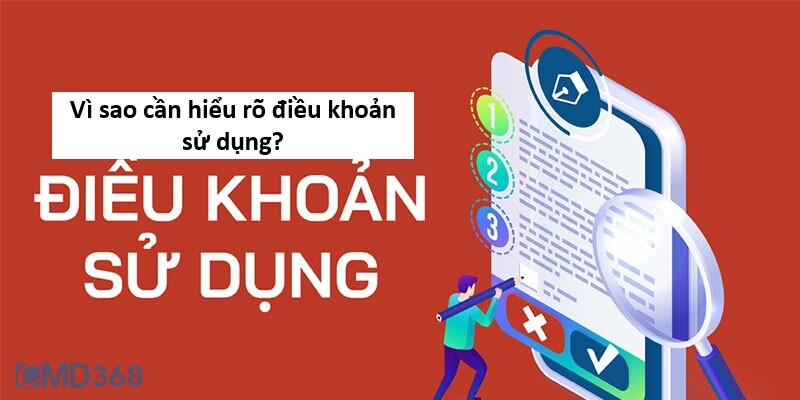 Có cần hiểu rõ điều khoản sử dụng CMD368 không