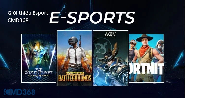 Giới thiệu Esport CMD368