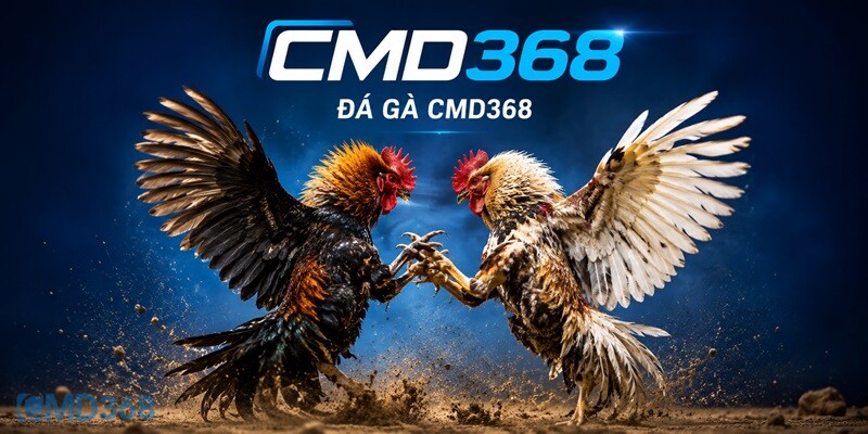 Giới thiệu sơ lược về Đá Gà CMD368