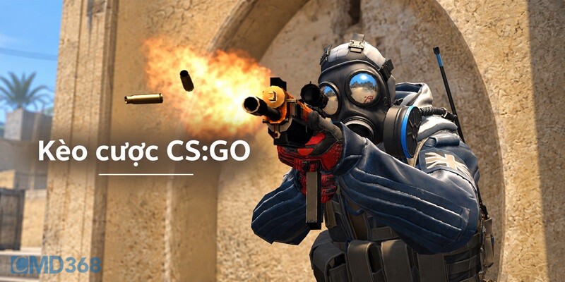 Hệ thống kèo cược CSGO mới update 2026 Hệ thống kèo cược CSGO mới update 2026