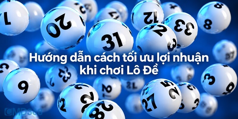 Hướng dẫn cách tối ưu lợi nhuận khi chơi Lô Đề CMD368 Hướng dẫn cách tối ưu lợi nhuận khi chơi Lô Đề CMD368