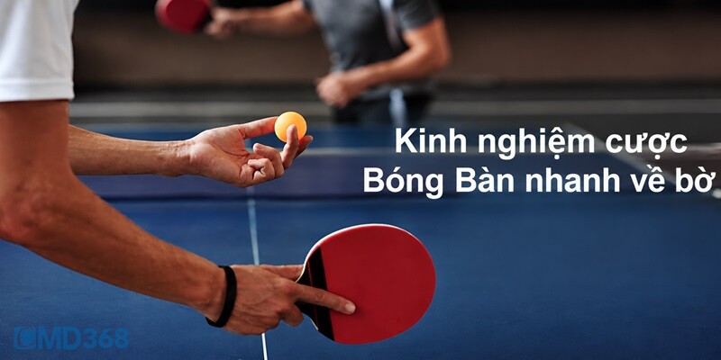 Kinh nghiệm cược Bóng Bàn nhanh về bờ Kinh nghiệm cược Bóng Bàn nhanh về bờ