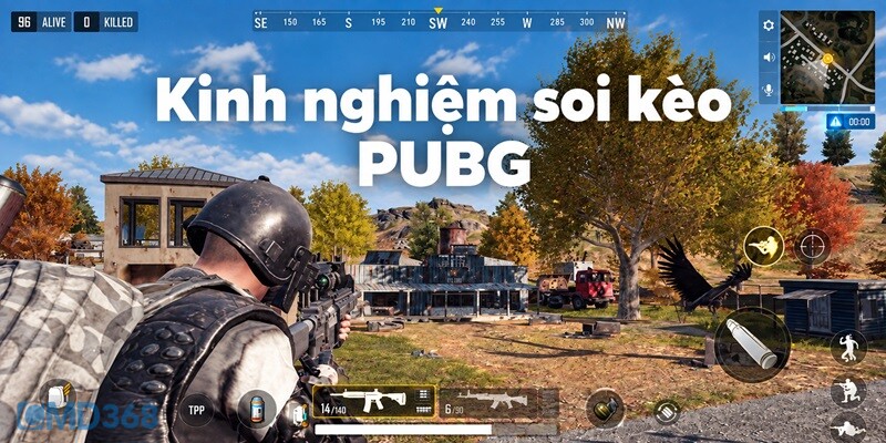 Kinh nghiệm soi kèo PUBG hốt bạc từ CMD368 Kinh nghiệm soi kèo PUBG hốt bạc từ CMD368