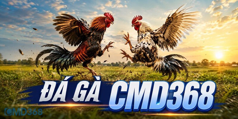 Mẹo chơi đá gà CMD368 dễ thắng