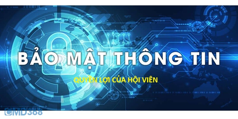 Quyền lợi của hội viên CMD368 khi tuân thủ chính sách