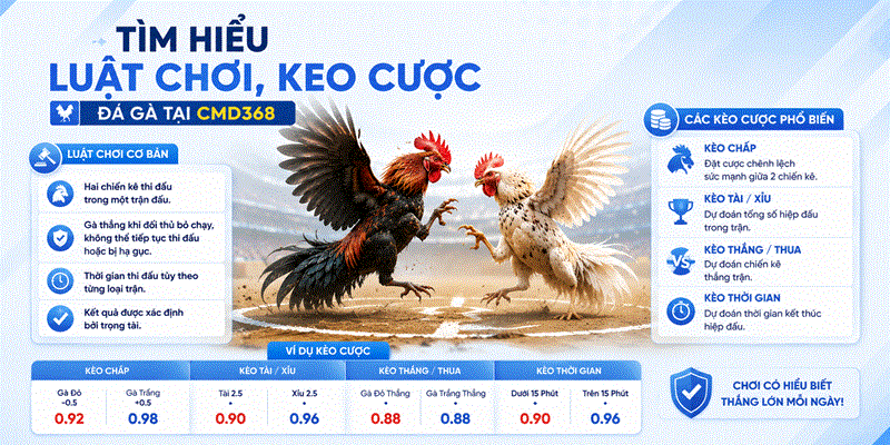 Tìm hiểu luật chơi, kèo cược Đá Gà tại CMD368